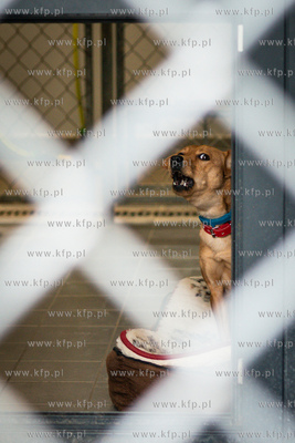 Walentynkowy Dzień Otwarty w Sopotkowie. 12.02.2023...