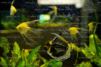 Sopot. Budynek dawnego klubu nocnego Enzym. Nowo otwarte...