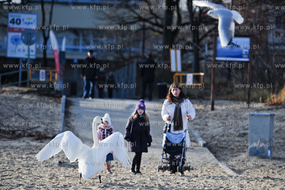 Sopot. Sloneczny dzien na plazy.
09.12.2011
fot....