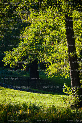 Gdansk. Sloneczne jesienne popoludnie w Parku Orunskim.
17.10.2012
fot....