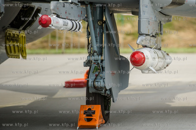 Królewo Malborskie. Open Air Day 2016 - Dzień otwarty...