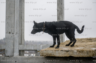 Gdańsk. Oddanie do użytku Strażnicy Jednostki Ratowniczo...