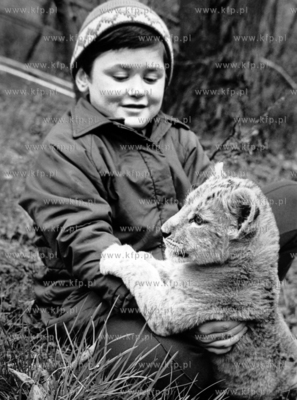 Dziewięcioletni Maciek Kosycarz i niespełna 10-tygodniowa...