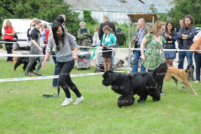 W Zespole Dworsko - Parkowym  w Gdyni Kolibkach odbyla...