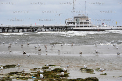 Sopot. Zatoka Gdanska. Sztorm. Na zdjeciu Molo zamkniete...