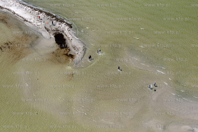 Marsz Sledzia odbywa sie Rybitwia Mielizna (Rewa Mew)...