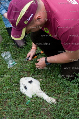 Jak co roku pracownicy Grupy ENERGA wraz z ornitologami...