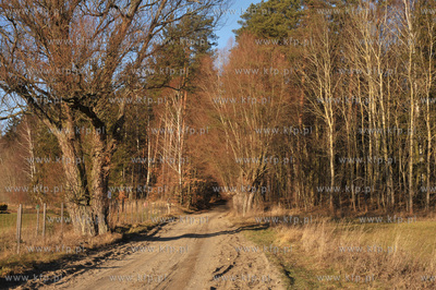 Sulmin wies na Kaszubach. Wiejska droga. 31.12.2011...
