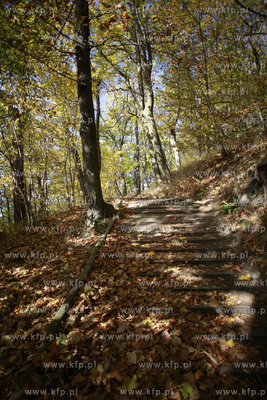Akcja sprzątania Lasów Oliwskich w rejonie wzgórza...