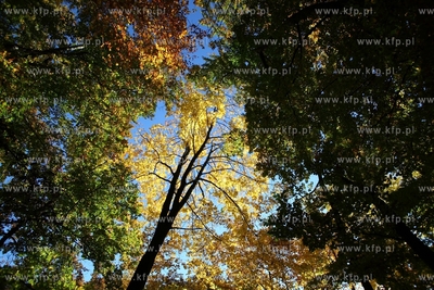 Sopot. Lisie Wzgorze.
14.10.2013
fot. Krzysztof Mystkowski...