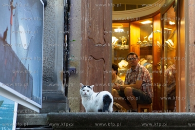 Gdańsk, Święto Ulicy Mariackiej. 08.09.2018 / Fot....
