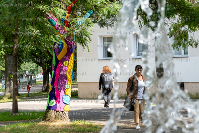 Gdańsk, Strzyża. Plac Gen. Maczka. Nz. Drzewa ozdobione...