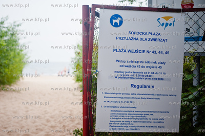 Sopocka plaza przyjazna dla zwierzat. Wprowadzona uchwala...