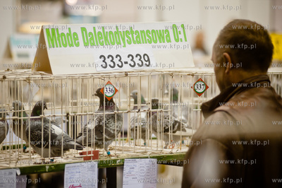 Gdansk. Gdansk. Amber Expo. 8. Miedzynarodowe Targi...