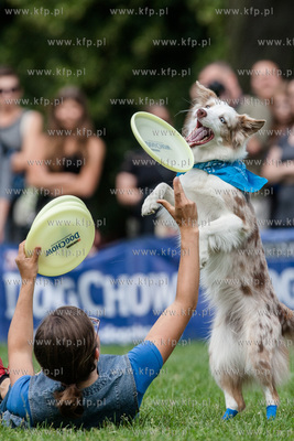 Sopot. Łazienki Połnocne. Zawody Latających Psów.
Nz...