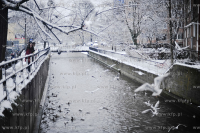 Pierwszy powazny snieg na ulicach Gdanska. Nz. Rzeka...