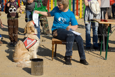Gdynia - 	Kolibki Adventure Park. Festyn edukacyjny...