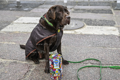 Sopot. 30. edycja Wielkiej Orkiestry Swiatecznej Pomocy...