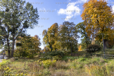 Skwer im. prof. Jerzego Sampa położony  między kanałem...