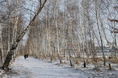 Gdansk Nowy Port. Tereny Szanca Zachodniego pomiedzy...