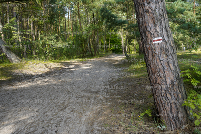 Na trasie wzdłuż szlaku fortyfikacji nadmorskich...