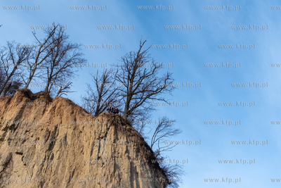 Przedwiośnie w Orłowie. 01.03.2026 / fot. Anna Rezulak...