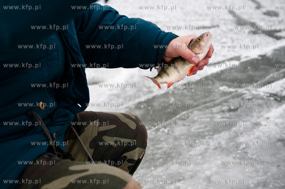 Gdansk. Martwa Wisla. Niskie temperatury utworzyly...