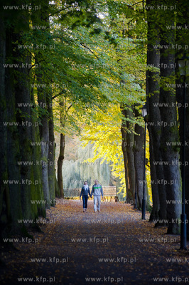 Gdansk. Sloneczne jesienne popoludnie w Parku Orunskim.
17.10.2012
fot....