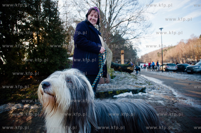 Gdynia. Polanka Redlowska. Pomorski Puchar Dogtrekkingu.
08.02.2014
fot....