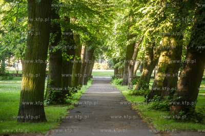 Gdańsk. Park Akademicki. 17.07.2017 fot. Mateusz Ochocki...