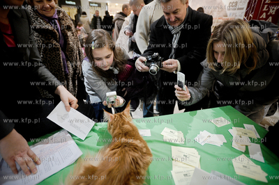 Swiatowy Dzien Kota w Galerii Baltyckiej. Obchodom...