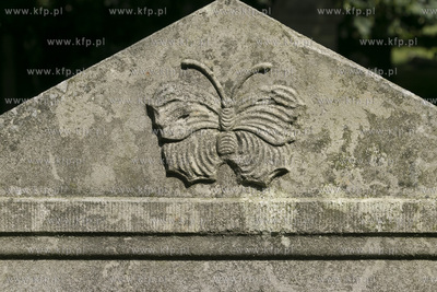 Największy w Polsce, wpisany w 1988 roku do rejestru...