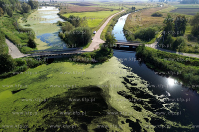 Ujście Czarnej Łachy i Raduni do Motławy w Krępcu....