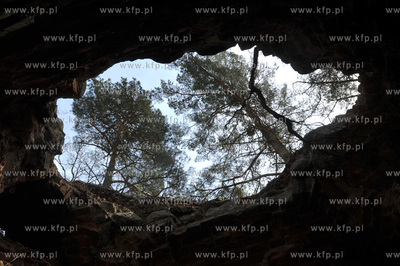 Grobowiec rodziny Gralathow i groby  na opuszczonym...
