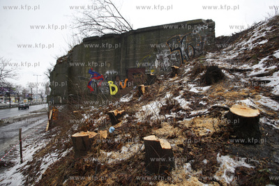 Wycinka drzew pod budowe trasy Pomorskiej Kolei Metropolitalnej...