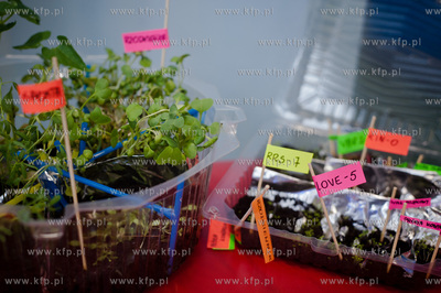 Gdynia.  Pomorski Park Naukowo-Technologiczny. Final...