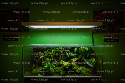 Uniwersytet Gdanski. Wydzial Biologii. Prezentacja...