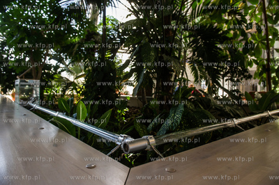 Uniwersytet Gdanski. Wydzial Biologii. Formikarium...