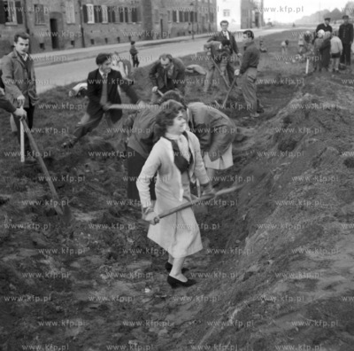 Czy spoleczny na budowie nowej linii tramwajowej w...