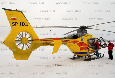 Gdansk, Rebiechowo. W dniu dzisiejszym przylecial nowy...