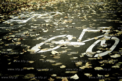 Sciezka rowerowa na ul. 3 Maja w Gdansku. 15.10.2014...