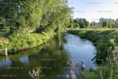 Budowa kładki nad Radunią łączącą ulicę Zastawną...