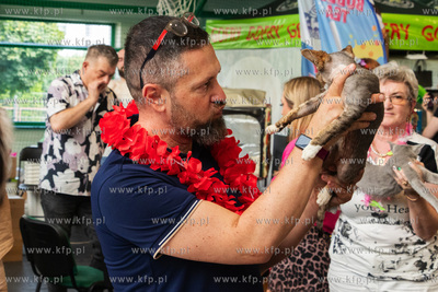 Międzynarodowa wystawa kotów rasowych "Koty na Hawajach"...