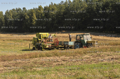 Zniwa na ul. Wolkowyskiej w Gdansku Pieckach - Migowie...