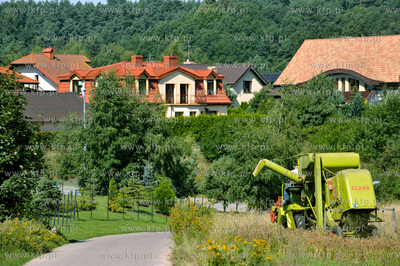 Zniwa na ul. Wolkowyskiej w Gdansku Pieckach - Migowie...