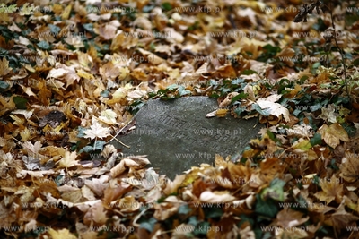 Gdansk - Wrzeszcz. Zapomniany cmentarz urnowy z poczatku...