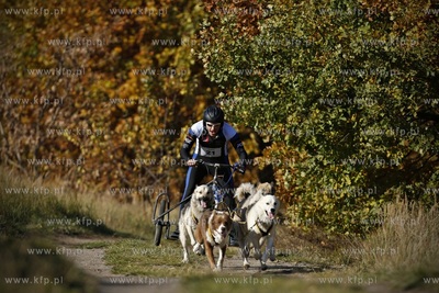 Gdańsk. Park Reagana. Pucharu Polski Psich Zaprzęgów...