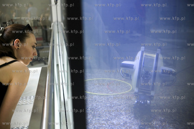 Otwarcie Centrum Konserwacji Wraków Statków w Tczewie.
02.07.2016
fot....