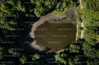 Wysycha staw Morskie Oko w Sopocie.
05.06.2023
fot....