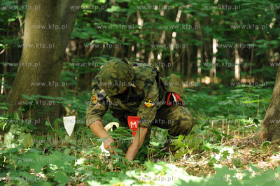 Westerplatte, Gdansk. Saperzy Marynarki Wojennej poszukuja...